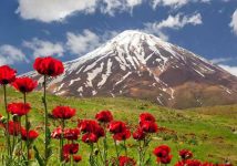 یادداشتی از آیتالله حائری شیرازی damavand2